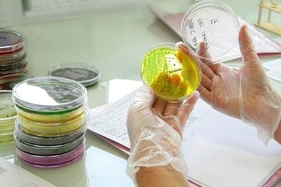 细菌学家