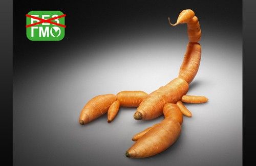 美国为何不愿放弃转基因食品？