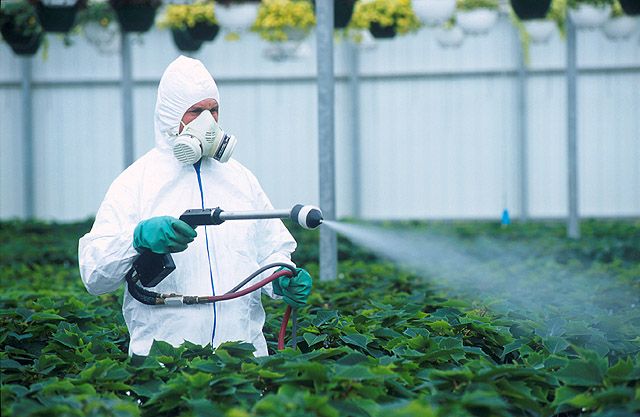 纳米农药：新的解决方案还是新的威胁？