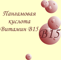 关于维生素 B15 的一般信息