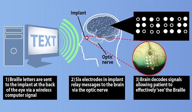 科学家可以让盲人恢复视力