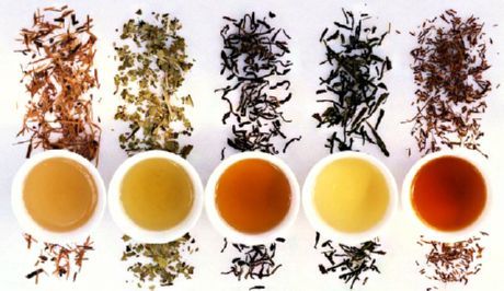 茶的种类