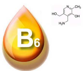 有關維生素B6的基本信息