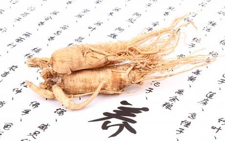 怀孕期间服用人参